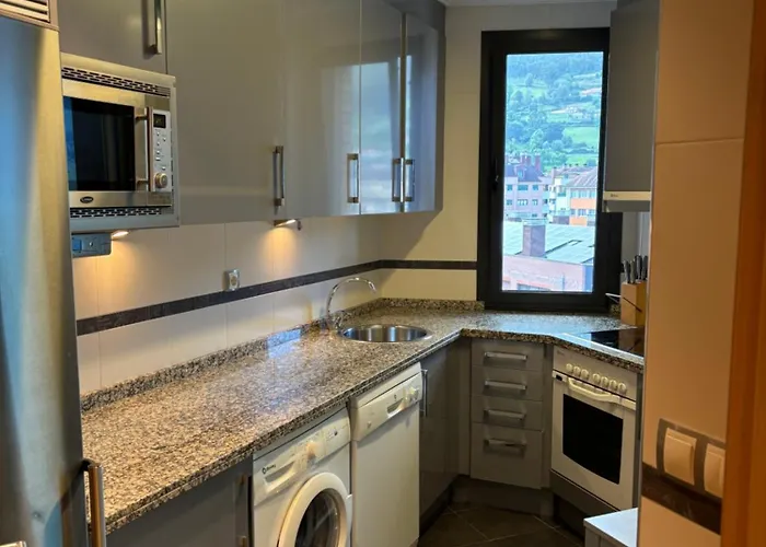 Apartamento Naranco *